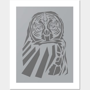 Owl expression Posters and Art